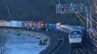 Long BNSF mixed freight meets Amtrak quotInternationalquot at Carkeek Park in Seattle train bnsf [upl. by Carola653]