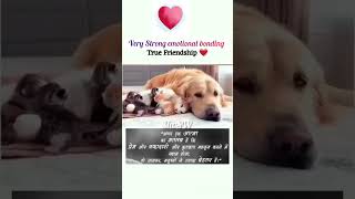 Show the Strong Emotion and Connectionviralvideo shorts [upl. by Ynoffit]