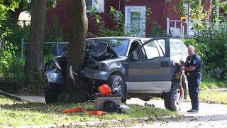 Dangerous Tree Cutting Fails With Chainsaw  Car Crashed Into The Tree Large Pathetic [upl. by Recneps921]