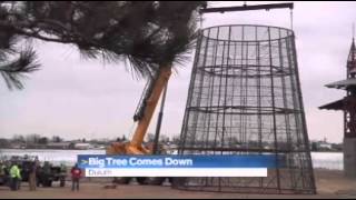 Big Bentleyville tree says byebye for season [upl. by Harty]