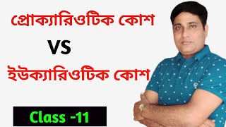 Difference between prokaryotic and Eukaryotic cell BiologyinBengali প্রোক্যারিওটিক ও ইউক্যারিওটিক [upl. by Relyc5]