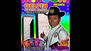 Delfin Reggaeton 2 [upl. by Woods]