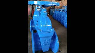 side lock resilient seat gate valves gatevalves resilientseatgatevalve resilientseatvalves [upl. by Etnoled]