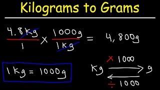 How To Convert Kilograms to Grams and Grams to Kilograms [upl. by Kentigerma374]