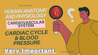 Cardiovascular System  Part3 Cardiac Cycle amp Blood Pressure  Human Anatomy and Physiology [upl. by Ahseryt237]