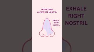 Alternate Nostril Breath Pranayama yogaathome breathwork pranayama alternatenostrilbreathing [upl. by Kilam249]