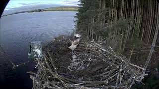 Llyn Brenig Live Stream [upl. by Nuahsyd]