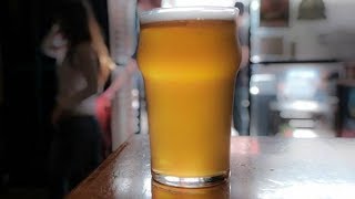 Beer lovers make pilgrimage to Santa Rosa for Pliny the Younger IPA [upl. by Sined]