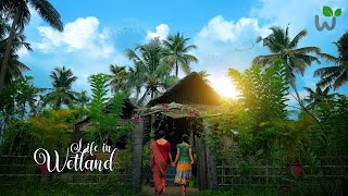 My Home Renovation  Kerala Village house  Village life  Our Traditional Life in Wetland [upl. by Sotsirhc]