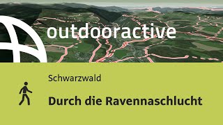 Wanderung im Schwarzwald Durch die Ravennaschlucht [upl. by Pacifica]