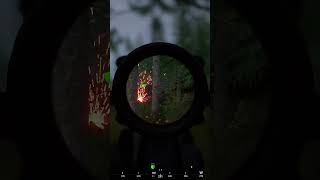 SQUAD  Easy targets gaming squad fps milsim [upl. by Eltsyrc]