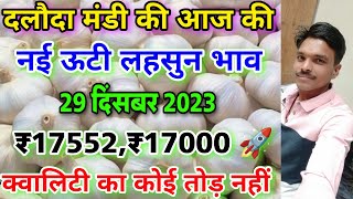 दलौदा मंडी आज का नई ऊटी लहसुन भाव 29 दिसंबर 2023 best ooty garlic daloda nai lahsun ka bhav [upl. by Johny]