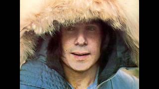 Paul Simon Track 5  Armistice Day [upl. by Nosna]