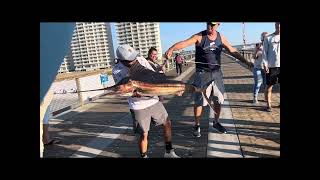 Sunset Fishing Navarre Beach Florida [upl. by Ronen]