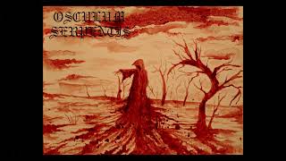 Osculum Serpentis  Black Spell of Destruction Burzum cover dark version [upl. by Pals]