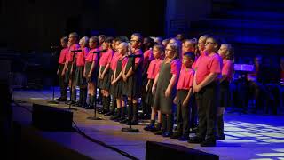 Pupils perform at the NELT summer concert [upl. by Schrick]