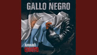 Gallo Negro [upl. by Notned362]