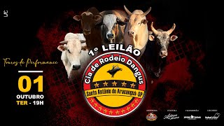 🔴AO VIVO TEMA 1º LEILÃO CIA DE RODEIO DANGUS  01102024 [upl. by Ainedrag]