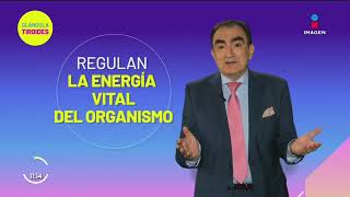 ¿Tienes problemas con la Tiroides Estos son sus síntomas  Sale el Sol [upl. by Koetke]