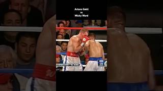 Arturo Gatti vs Micky Ward boxing [upl. by Maribel11]