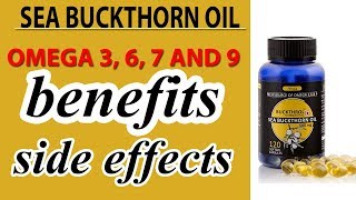 Sea Buckthorn Oil Benefits And Side Effects  Omega 3 6 7 And 9  hindi [upl. by Kermit671]