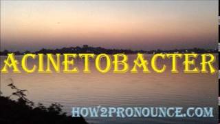 How To Pronounce ACINETOBACTER [upl. by Ytisahcal]