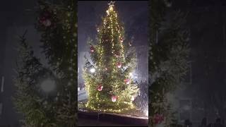 Christmas celebration with snow fall ☃️ lithuania travel tour christmastree trending song [upl. by Nirrok]