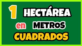 🔥 Cuántos METROS CUADRADOS tiene Una HECTÁREA  ha ➡ m² [upl. by Dosh940]