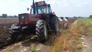 Fiatagri 18090  quadrivomero moro warrior [upl. by Jesh509]