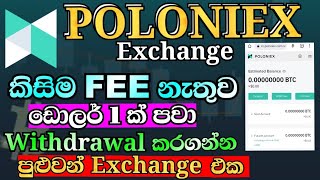 Deposit and withdrawal without fee sinhala  Poloniex Exchange app  poloniex exchange review [upl. by Sldney605]