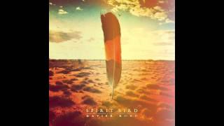 Xavier Rudd  Spirit Bird audio HQ [upl. by Nett]