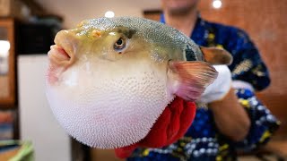 Japanese Food  POISONOUS FUGU Fukumeshi Okinawa Seafood Japan [upl. by Fergus]