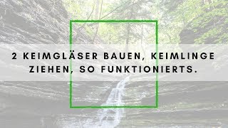 Keimglas bauen Keimlinge ziehen  wie funktionierts und was sind die Vorteile [upl. by Charie429]