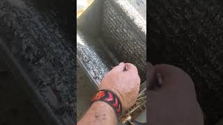 Impacted Evaporator Coil Refresh hvac impacted cleaning homeimprovement [upl. by Siegler217]