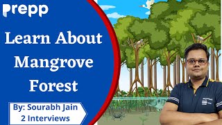 Mangrove forests  Everything to Know  UPSC CSE [upl. by Jola43]