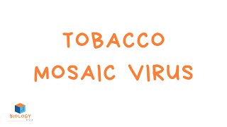 GCSE Biology  Infection amp Response  11 Tobacco Mosaic Virus [upl. by Willard]