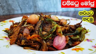 වම්බටු මෝජු හරියට හදමු  Wambatu Moju sinhala [upl. by Rubetta243]