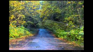 Road Trip  Gifford Pinchot National Forest and Mt Adams [upl. by Derian513]