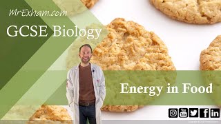 Measuring Energy in Food  GCSE Biology 91 114B [upl. by Etiuqram]