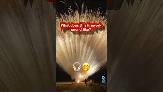 🎧🤭What does this firework sound like⁉️Shout out to airfx2 for sharing [upl. by Iow]