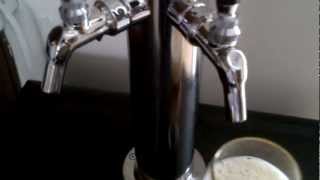 Danby Kegerator Build [upl. by Nelleh]