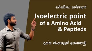 How to find Isoelectric point of Amino acids and dipeptides [upl. by Sigvard]