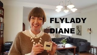 Flylady Diane  Zone 5 Intro March 2017 [upl. by Immij]