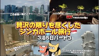 豪遊inシンガポール〜！！食べて遊んで泳ぐ優雅旅！！ [upl. by Nyrmac]