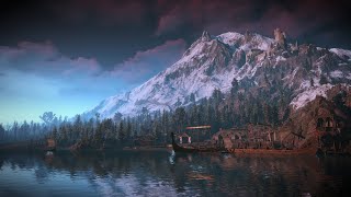 Witcher 3  The Fields Of Ard Skellig on Violin 🌊🍃 [upl. by Ninehc]