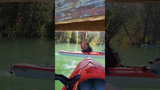 Exploring the beautiful Glenmore Reservoir nature kayakfishing kayaking glenmorereservoir reels [upl. by Lek]