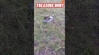 Treasure hunt in the hay field shorts hay treasure junk equipment youtubeshorts haymakers [upl. by Odrude]