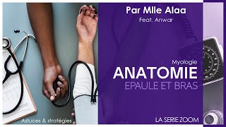 1 ANATOMIE  La myologie de lépaule et du bras par Mlle Alaa Feat AnwarBz [upl. by Gusella163]