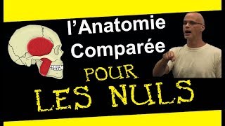 Lanatomie pour les nuls et les végétariens [upl. by Nnahsal347]