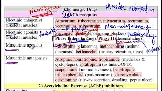 USMLE Video 223 Cholinergic System Neurotransmission Receptor Pathways and Pharmacological Agents [upl. by Ugo]